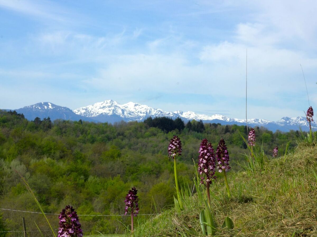 Maison Syrah 220 m² - 10 personnes aux Pyrénées - Photo 20