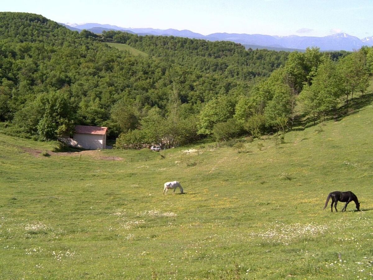 Maison 80m² isolée aux Pyrenees, piscine et randos - Photo 19