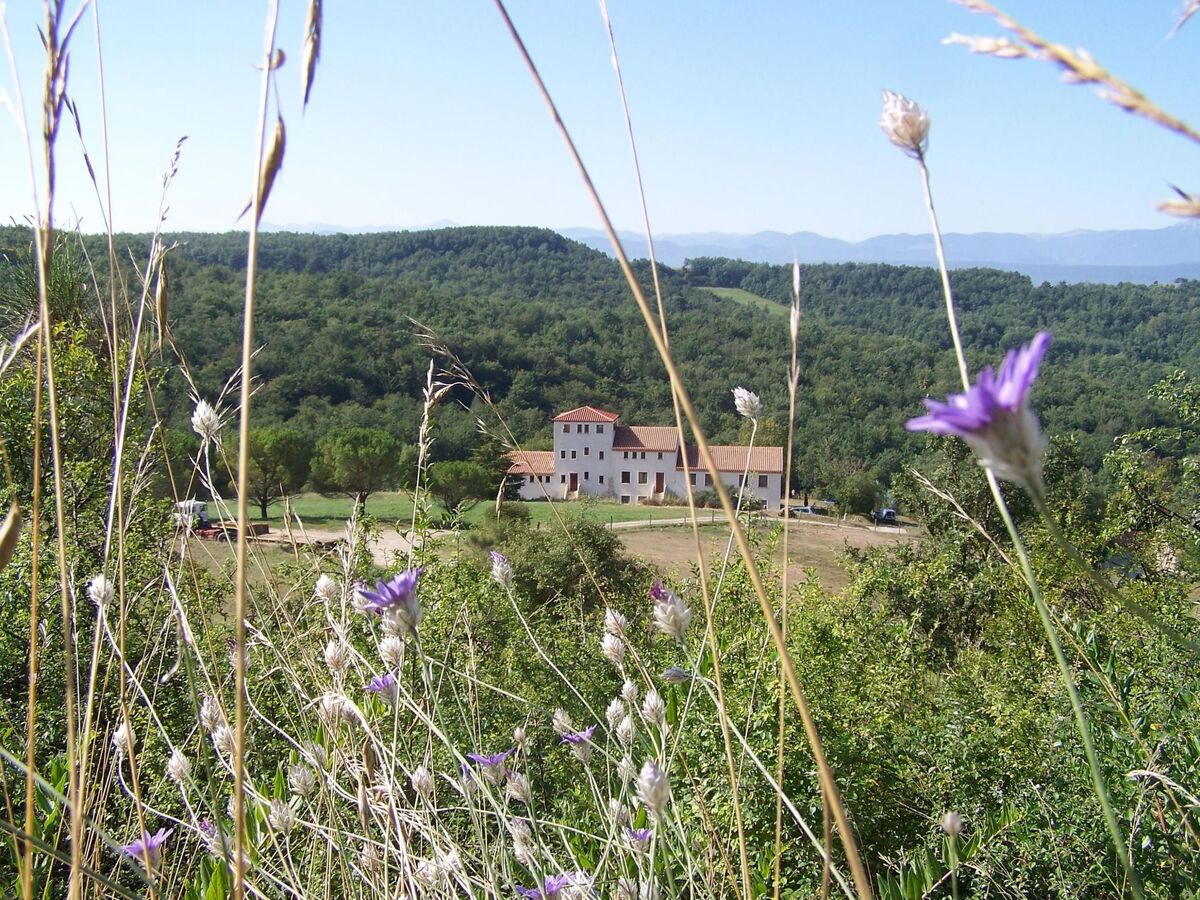 Maison 80m² isolée aux Pyrenees, piscine et randos - Photo 21