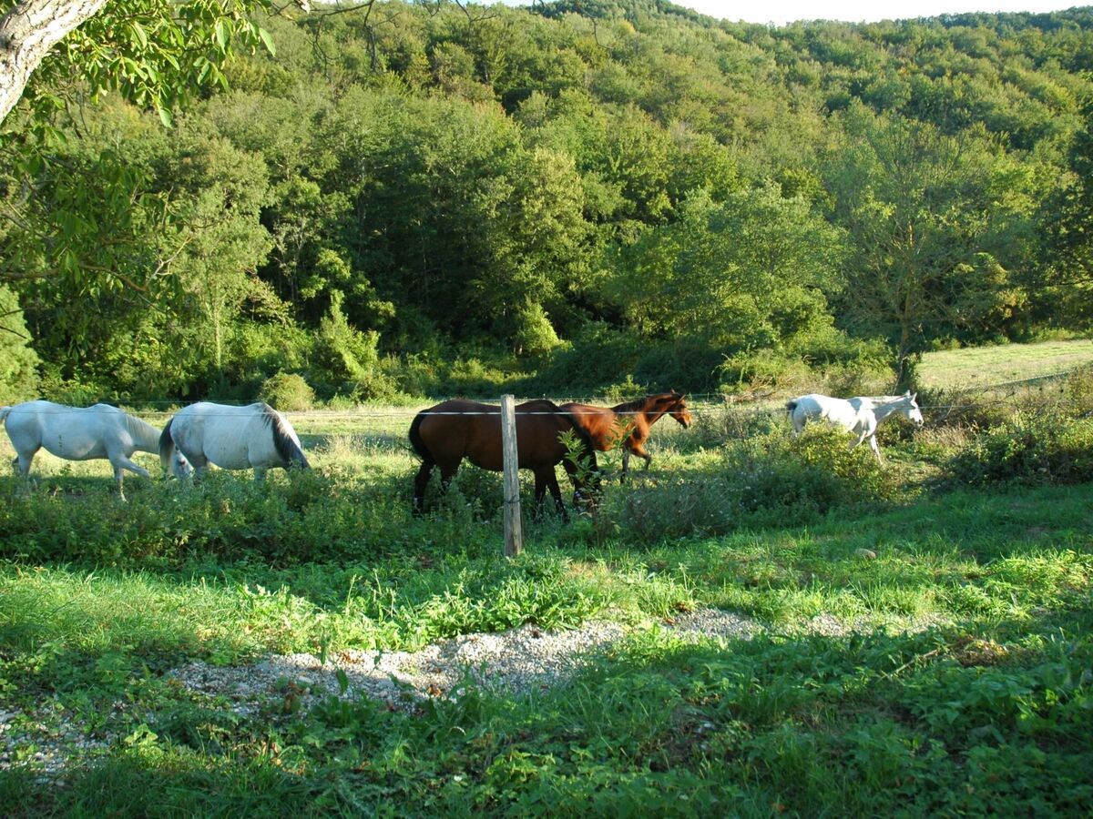 Maison 80m² isolée aux Pyrenees, piscine et randos - Photo 23