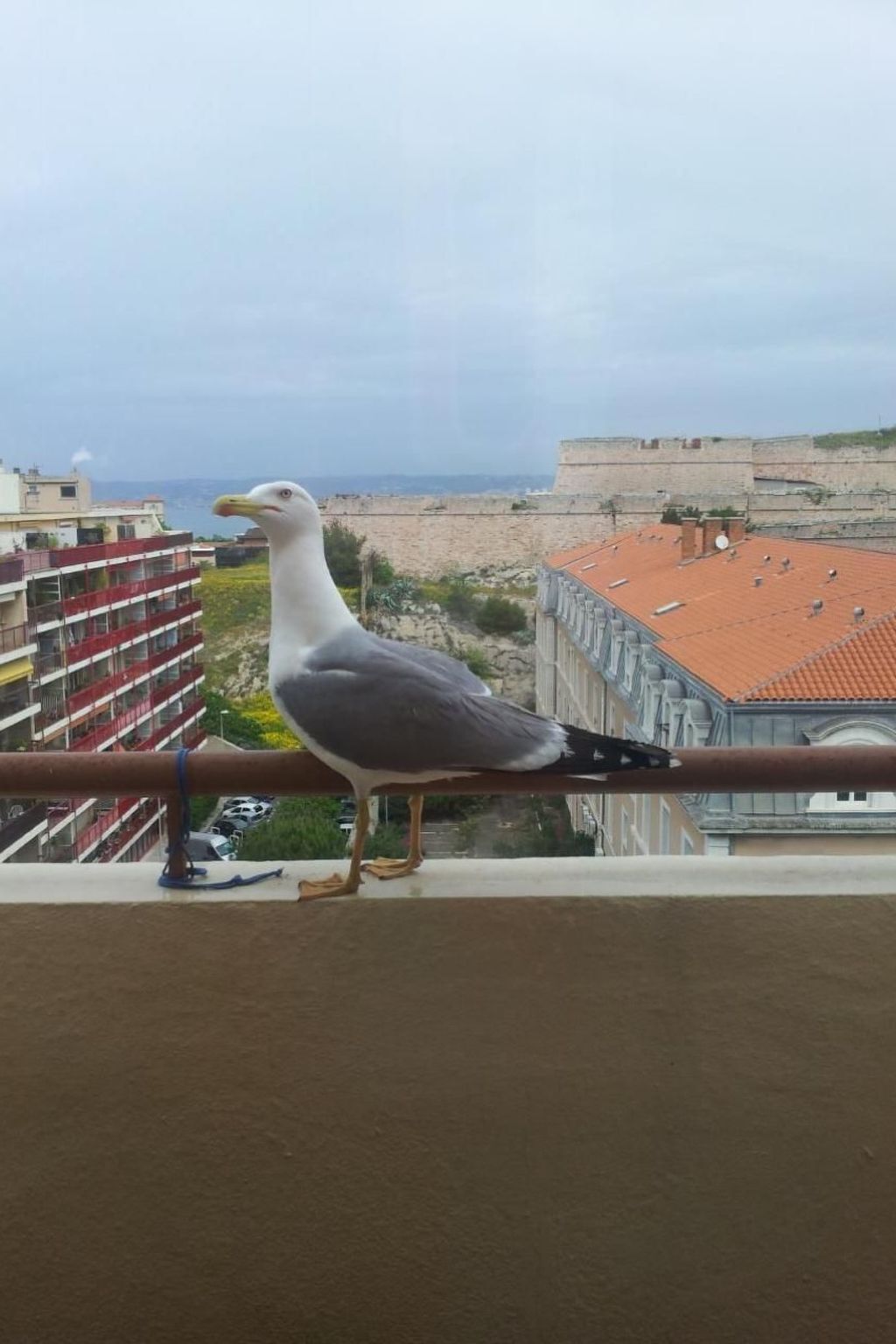 Studio Agachadou Marseille : 36m² de terrasses panoramiques - Photo 48