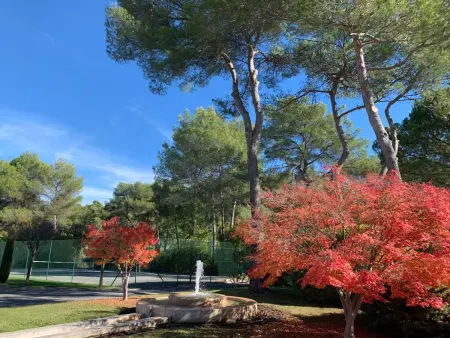 Appartement Mougins, jardin méditerranéen et piscine : photo 13