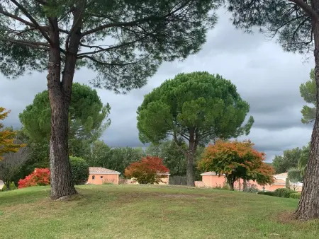Appartement Mougins, jardin méditerranéen et piscine : photo 14