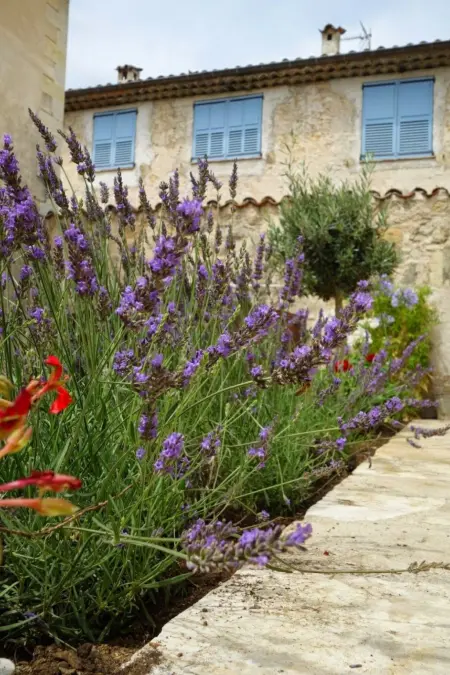 Studio avec jardin privé clos à Valbonne : photo 30