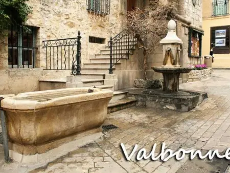 Studio avec jardin privé clos à Valbonne : photo 31