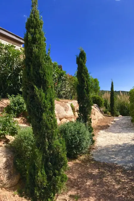 Maison 100 m² avec grande terrasse à Bonifacio : photo 6