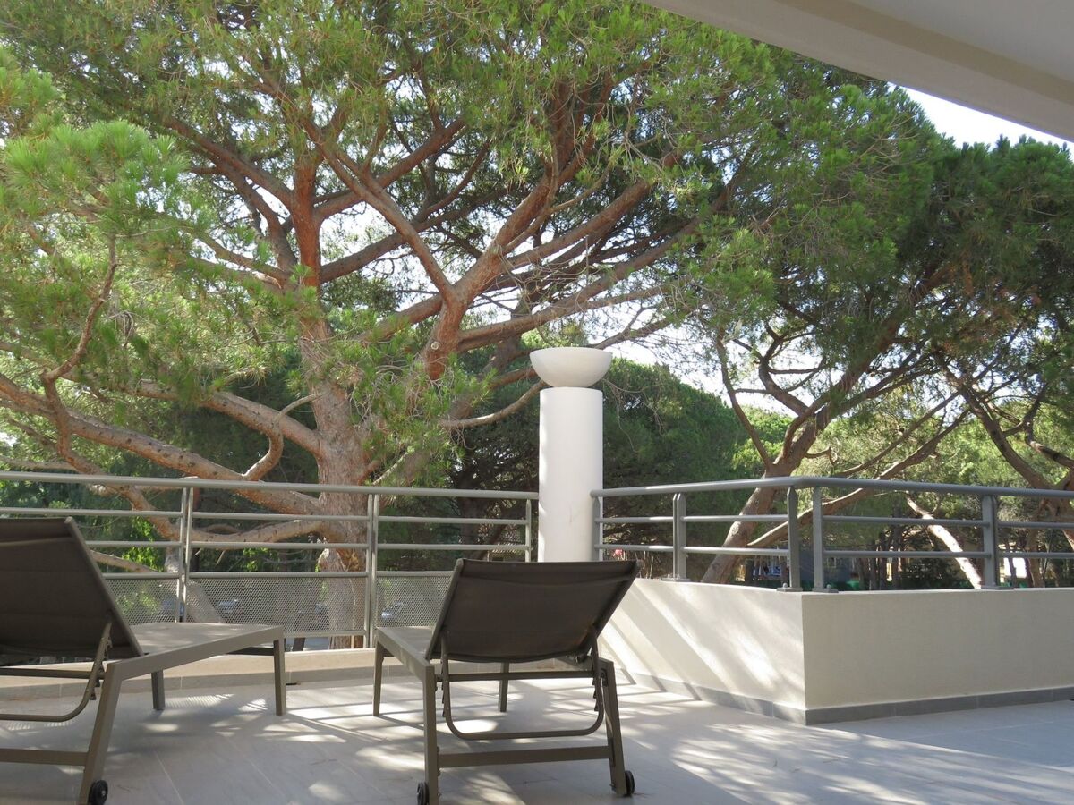 Appartement 4 chambres, 150 m de plage à Calvi - Photo 10