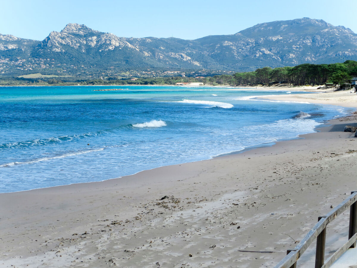 Appartement 4 chambres, 150 m de plage à Calvi - Photo 19