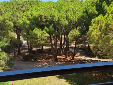 Appartement Maria Stella 95m² - Terrasse 30m² à Calvi : photo 9