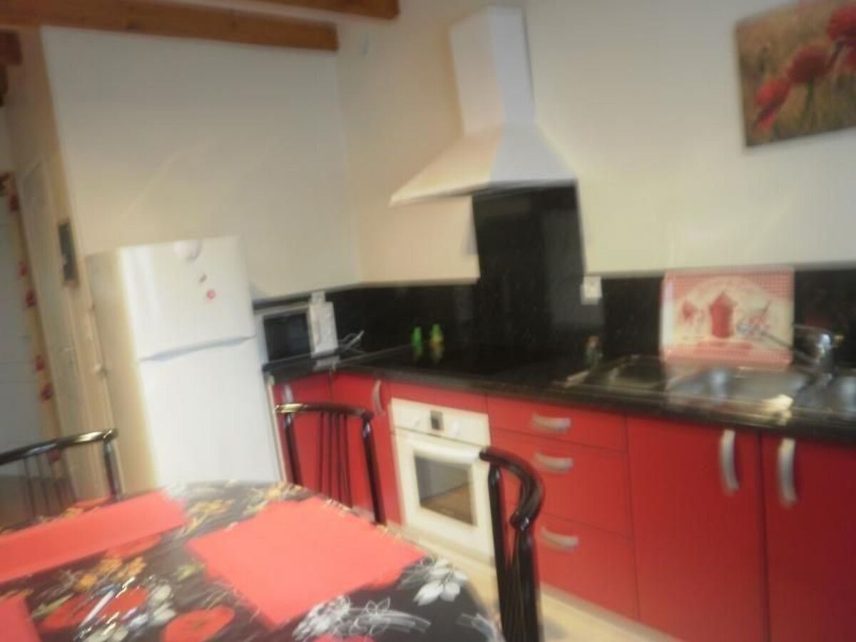 Maison accessible Tarascon-sur-Ariège, jardin et terrasse - Photo 5