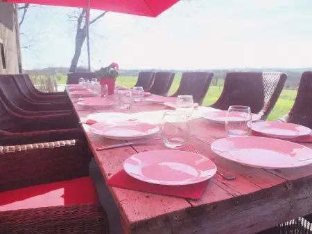 Claux de Bouscou – Maison 8 chambres avec piscine : photo 18