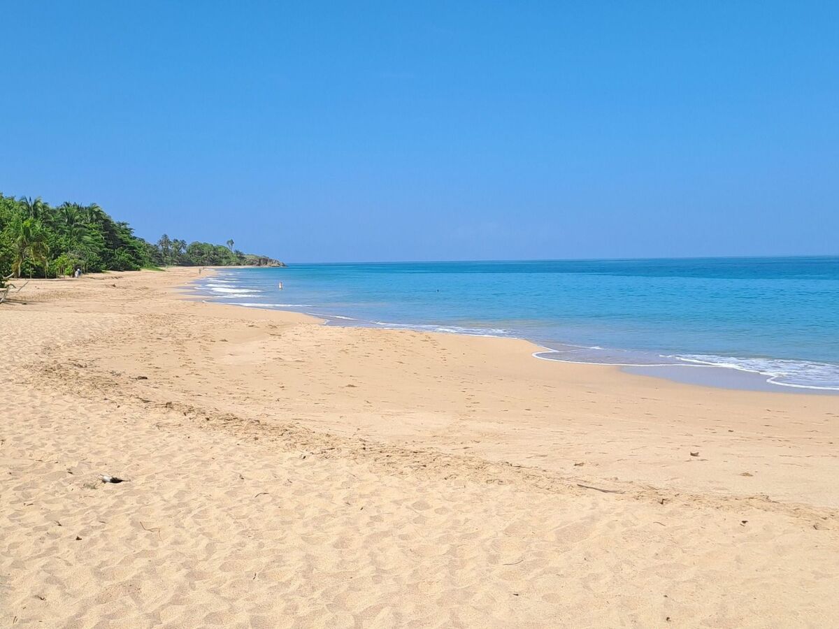 Bungalow créole 3 chambres, vue mer et piscine privée - Photo 21
