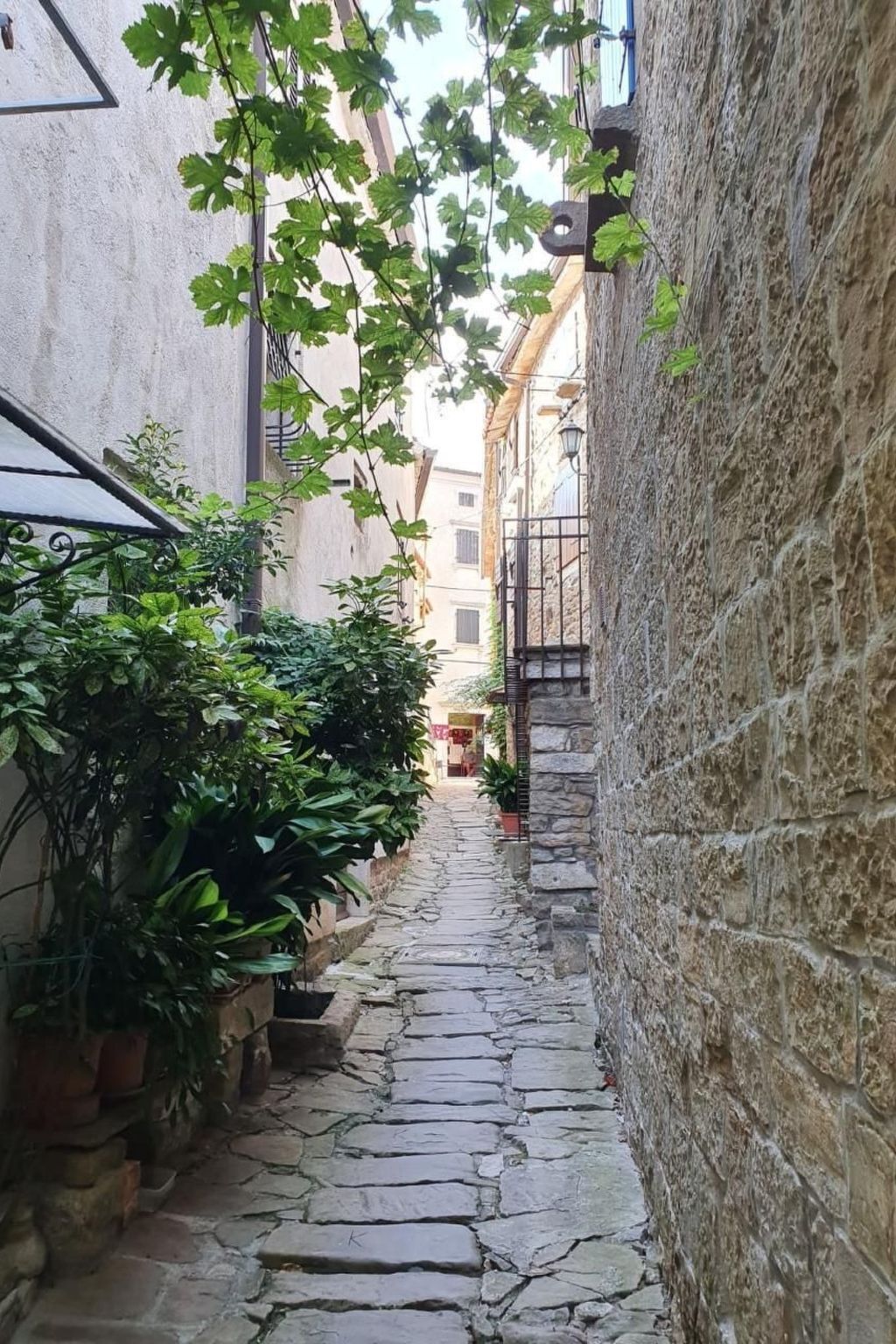 Villa Anna, maison Istrie 8 pers., piscine privée - Photo 39