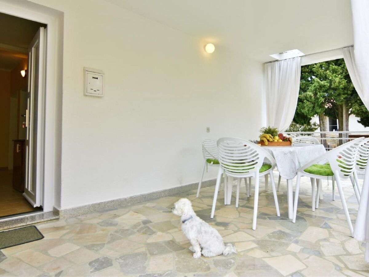 Vila Maria Punta – Maison 6 pers., piscine 120 m² - Photo 14