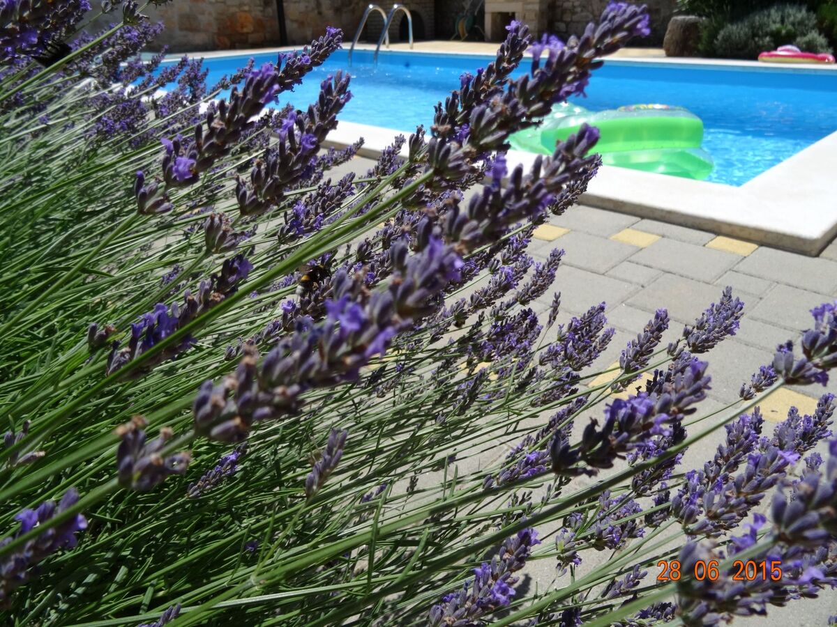 Villa Anđelo i Marija, maison avec piscine privée à Čehići - Photo 5