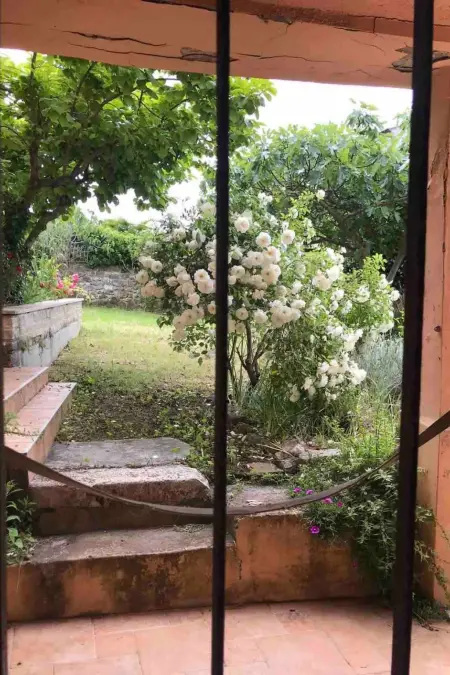 Maison 3 chambres à Rovinj, terrasse et jardin privé : photo 32