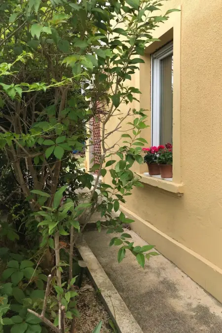 Maison 3 chambres à Rovinj, terrasse et jardin privé : photo 58