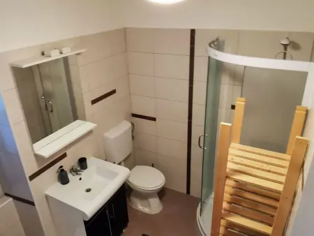 Eti und Mia, maison 13 personnes Bokordici : photo 15