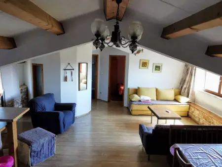Eti und Mia, maison 13 personnes Bokordici : photo 22