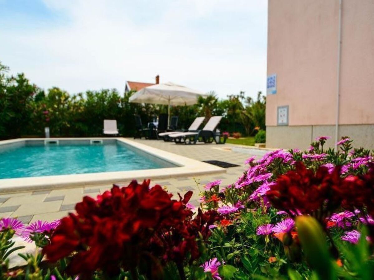 Maison 2 appartements avec piscine à Pula - Photo 16