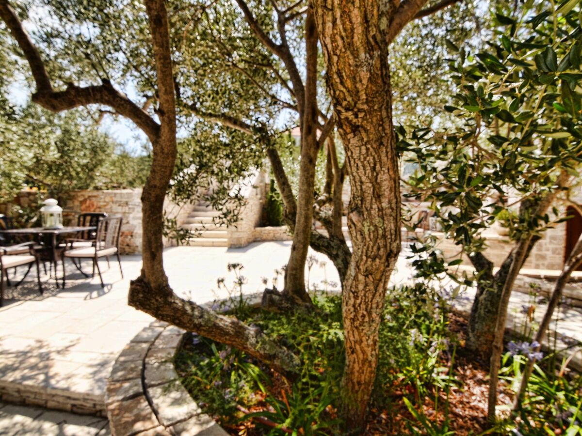 Villa Kos Murter : 22 personnes, piscine chauffée - Photo 18