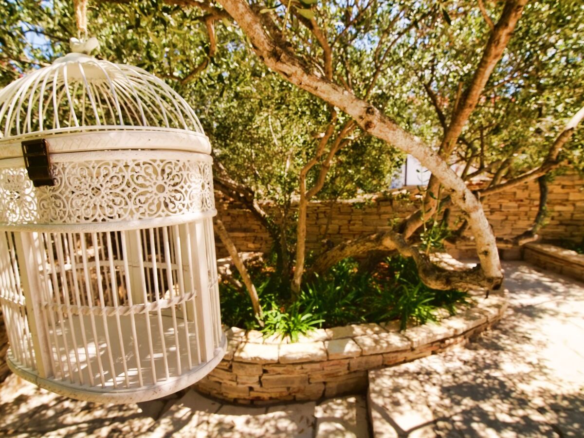 Villa Kos Murter : 22 personnes, piscine chauffée - Photo 19