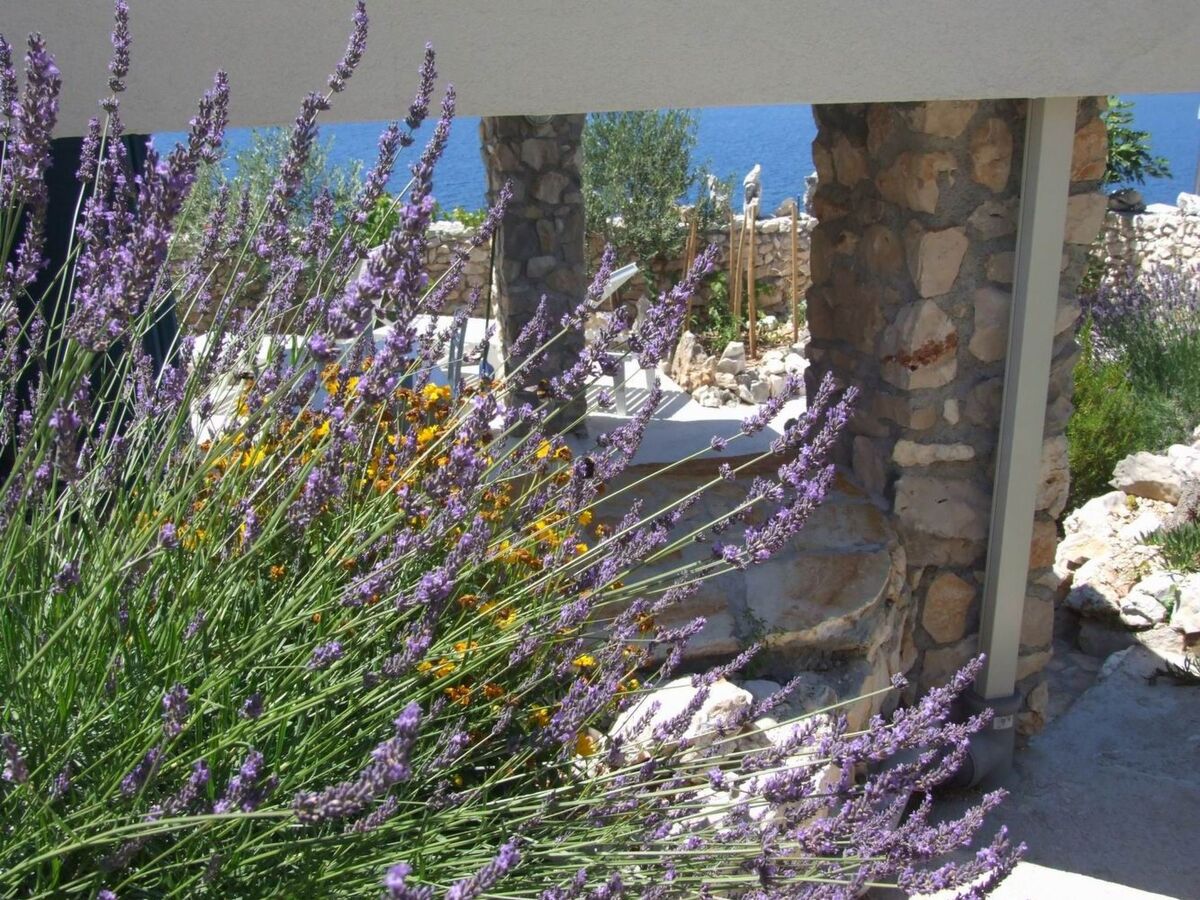 Maison en pierre avec vue mer et mouillage à Marina - Photo 18