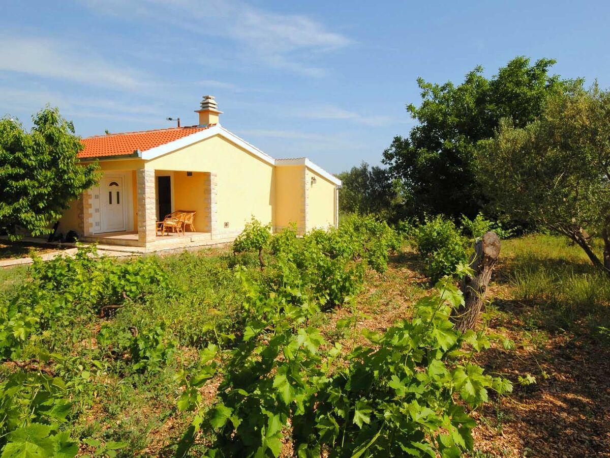 Villa Green Oasis à Kaštel Novi : 10 personnes, piscine & jardin 4000 m² - Photo 26