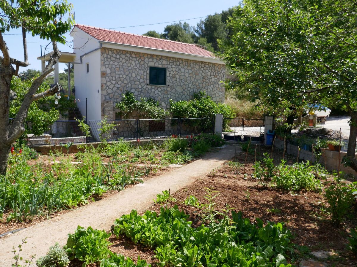 Maison île de Šolta, 70 m de la plage - Photo 11