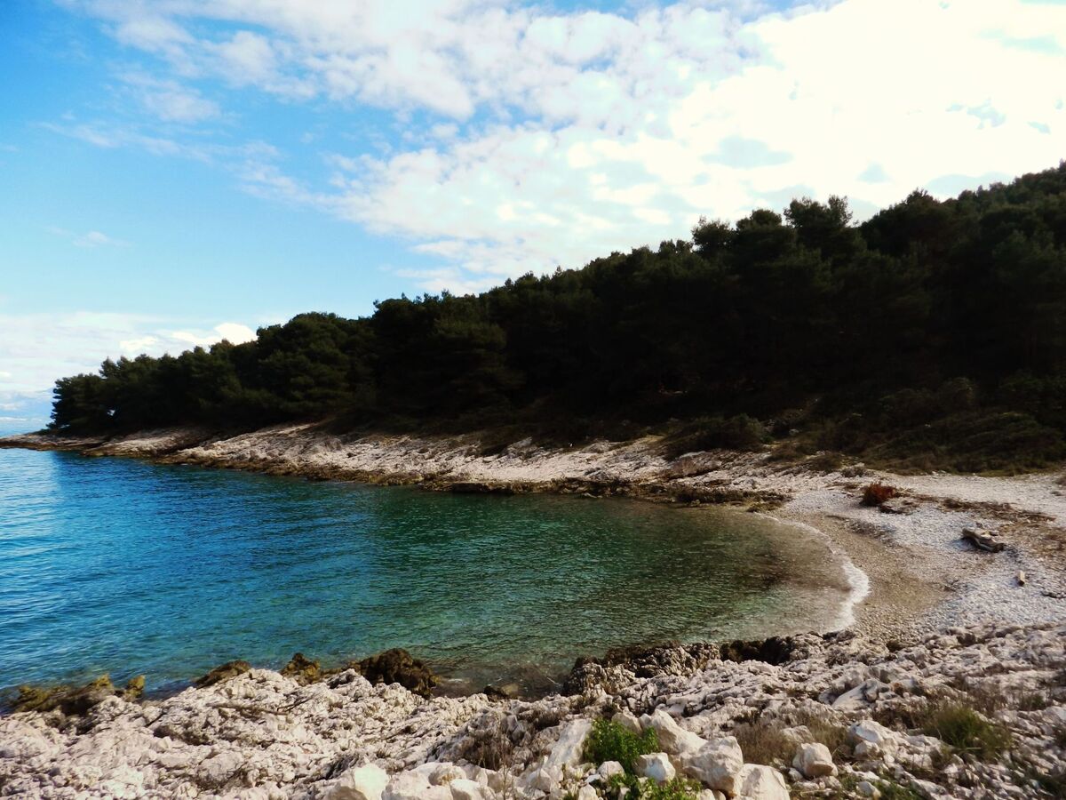 Maison île de Šolta, 70 m de la plage - Photo 21