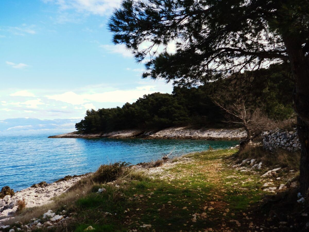 Maison île de Šolta, 70 m de la plage - Photo 22
