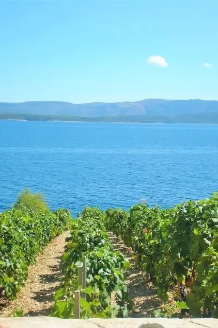 Maison en pierre avec vue sur Hvar et plage privée : photo 31