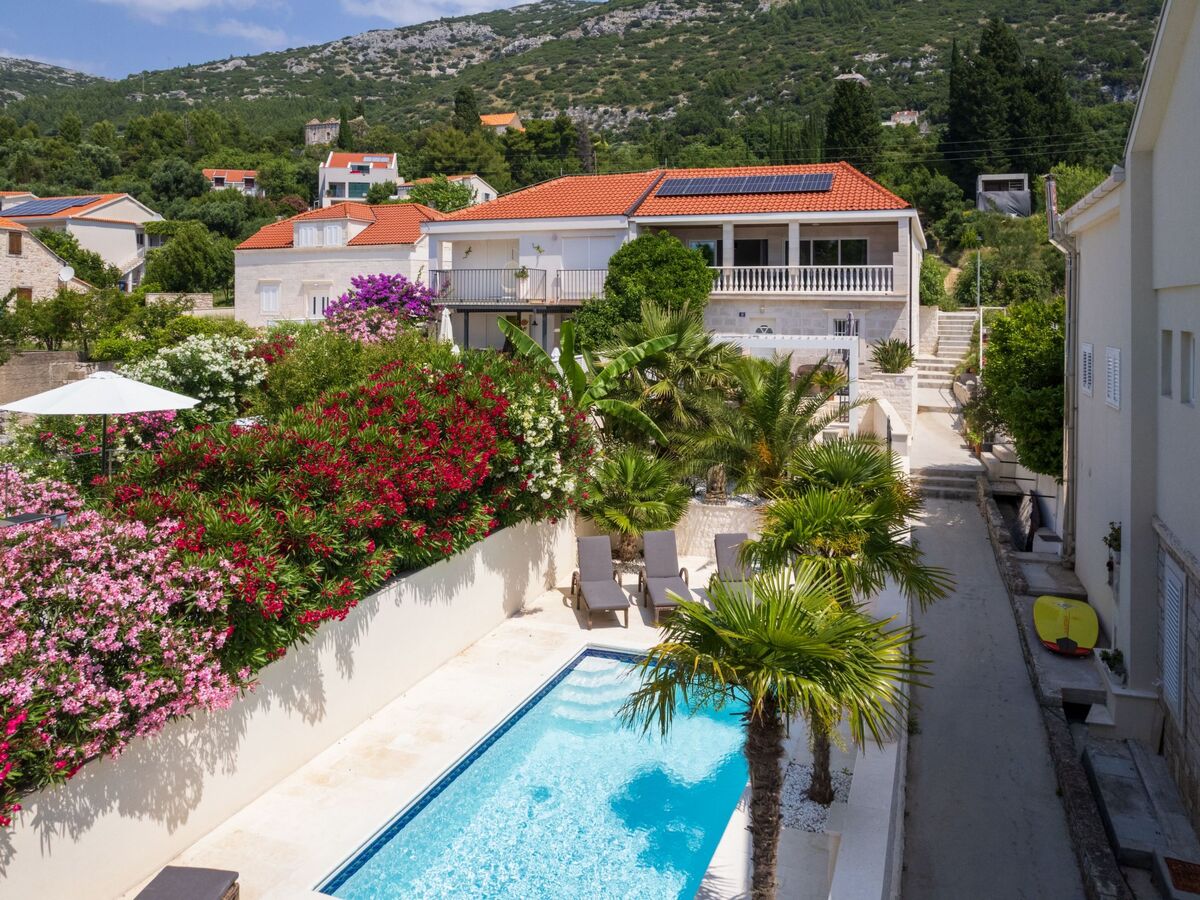 Villa Suartini Viganj : maison piscine en bord de mer - Photo 20