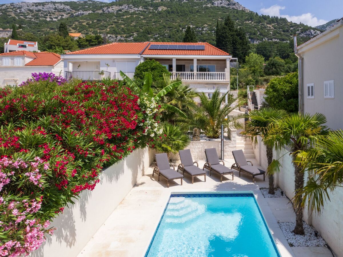 Villa Suartini Viganj : maison piscine en bord de mer - Photo 21