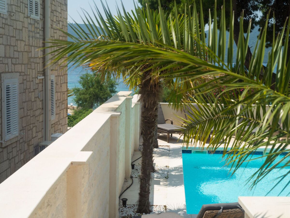 Villa Suartini Viganj : maison piscine en bord de mer - Photo 46