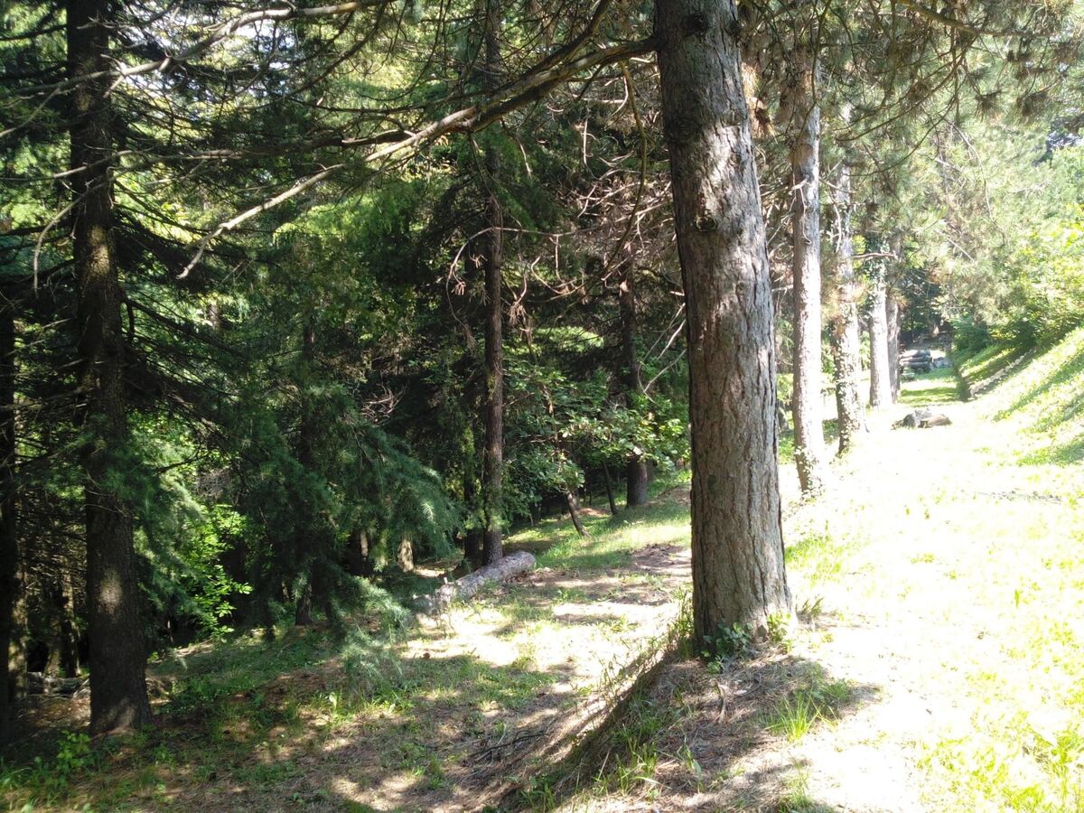 Maison Badinot à Diano d'Alba, jardin privé et barbecue - Photo 18