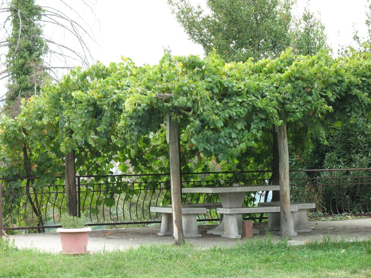 Appartement avec piscine commune à Dogliani - Photo 33