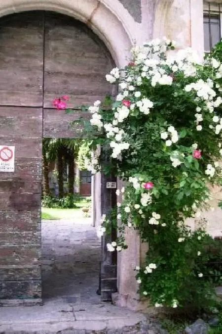 Location appartement à Miasino, Wohnung Caprifoglio in Miasino