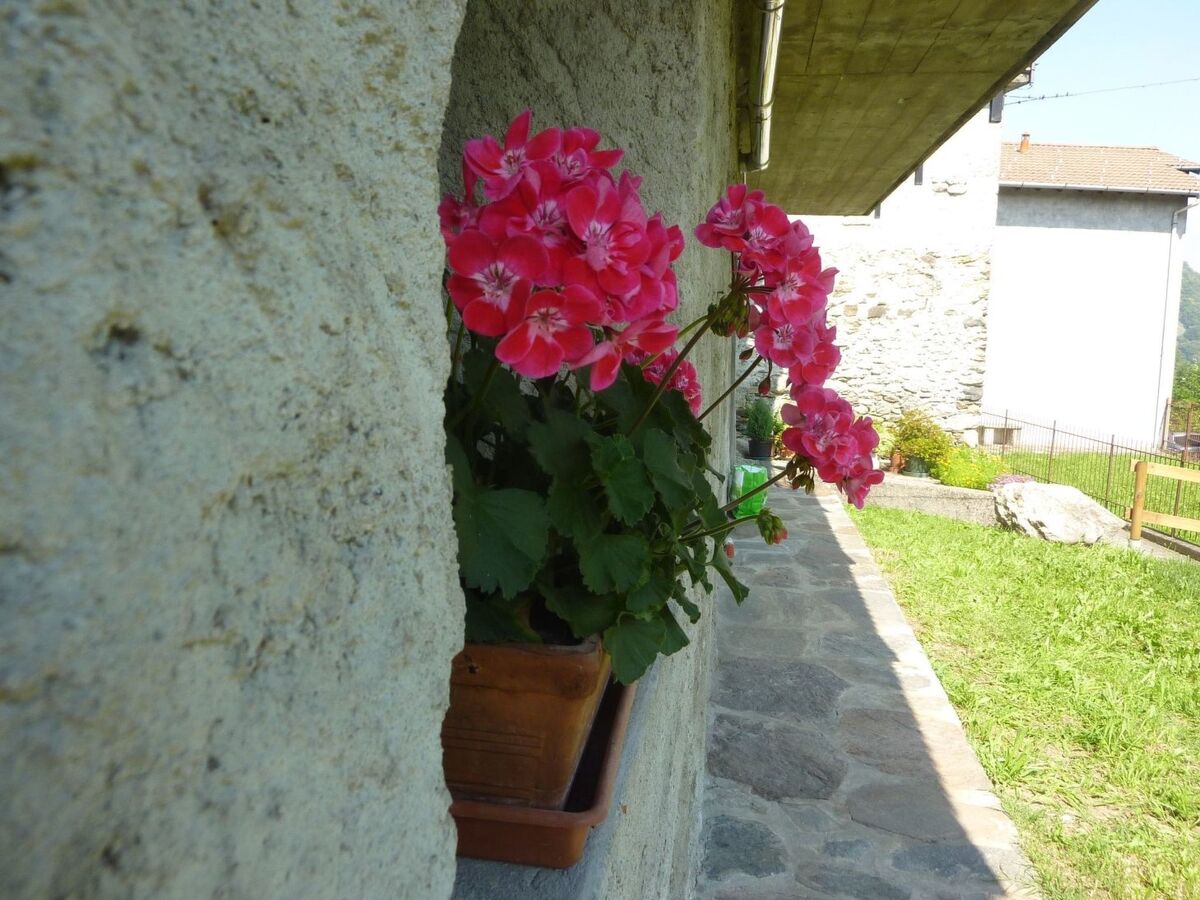 Appartement 2 pers. Livo, balcon vue lac Côme - Photo 30