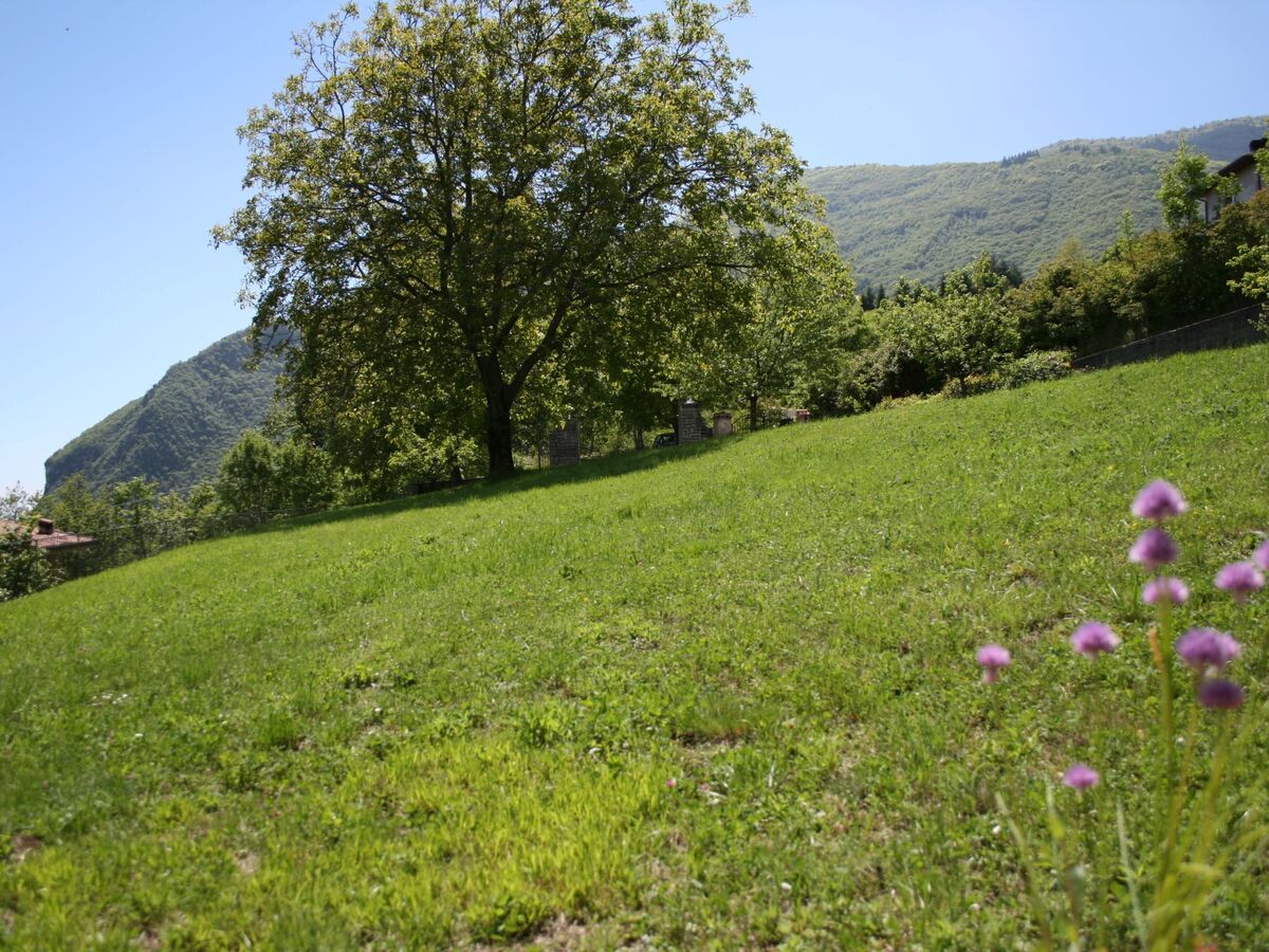 Appartement 2 chambres avec vue lac Garda à Manerba - Photo 24