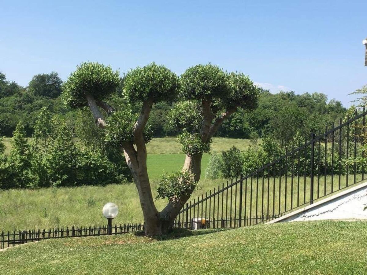 Villa Panoramica – 6 chambres avec piscine privée - Photo 18