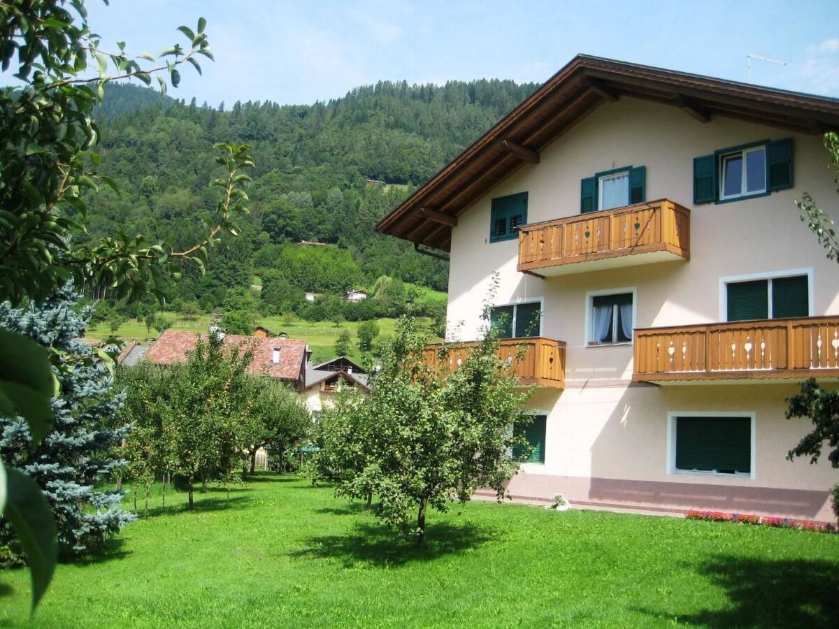 Appartement 3 chambres avec jardin à Mezzano - Photo 2