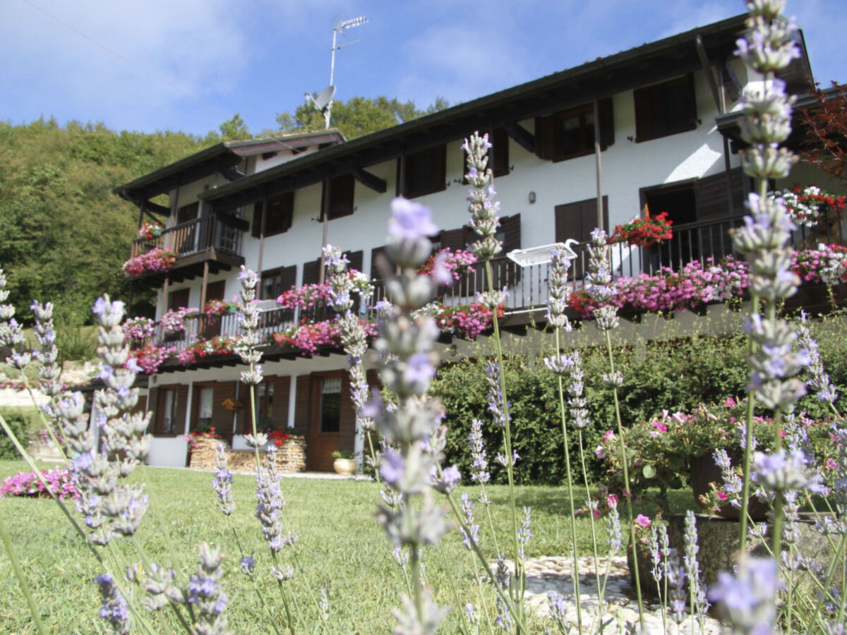 Duck's Cottage, maison 1800 aux portes des Dolomites - Photo 2