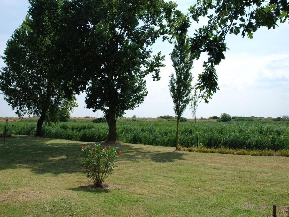 Appartement avec grill à Rosolina Mare - Photo 15