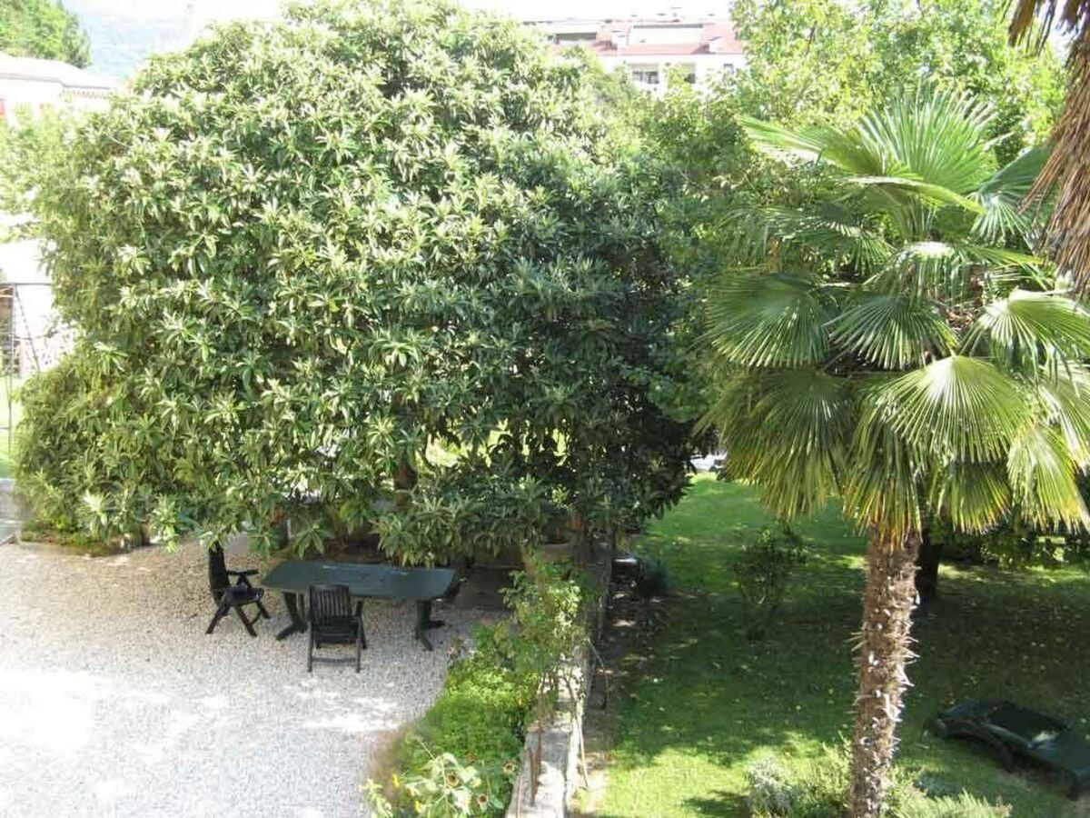 Appartement Luca avec terrasse à Vittorio Veneto - Photo 20