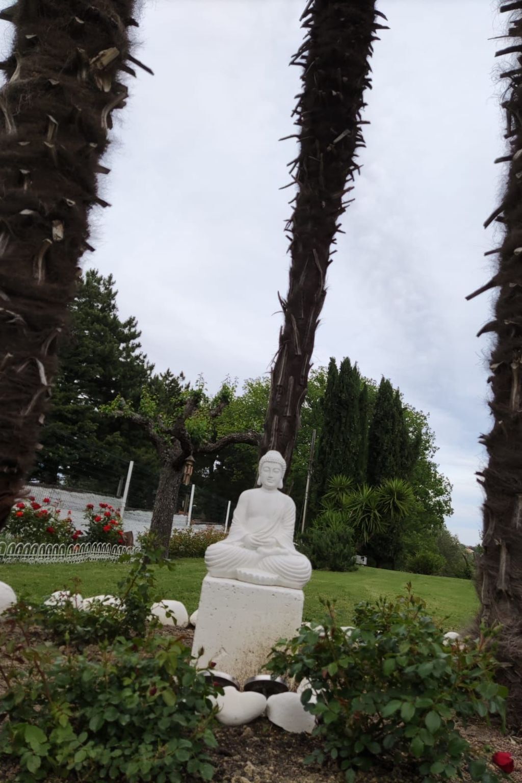 Dear Peace on the Hill – Appartement 16 pers., Montefiore Conca - Photo 10