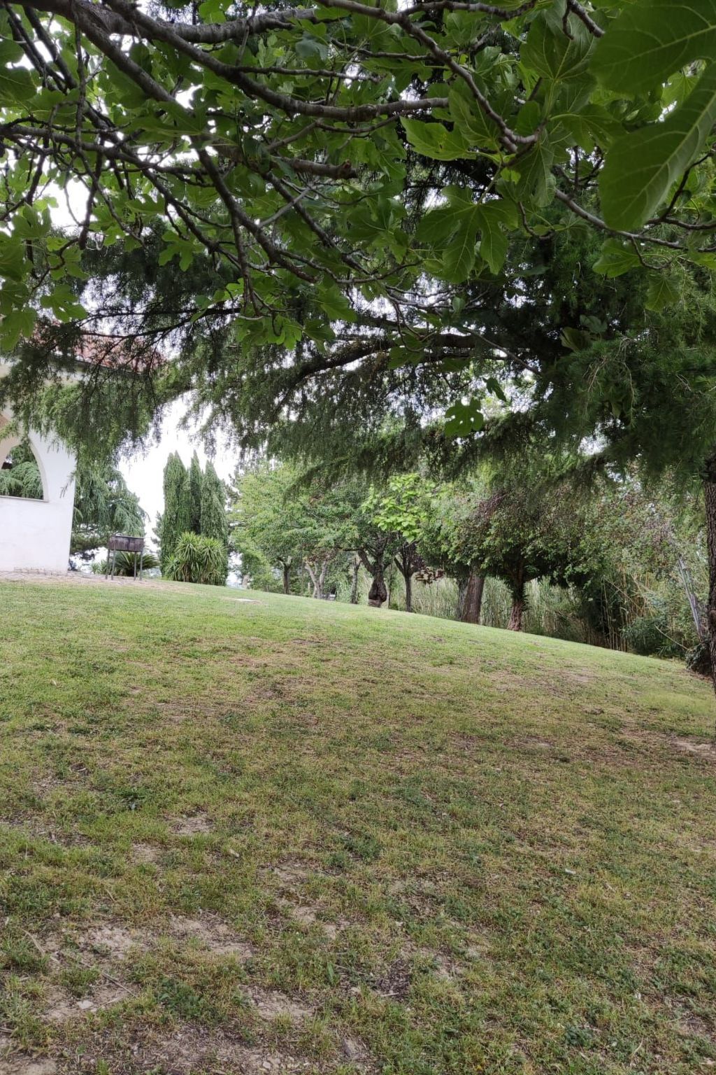 Dear Peace on the Hill – Appartement 16 pers., Montefiore Conca - Photo 11