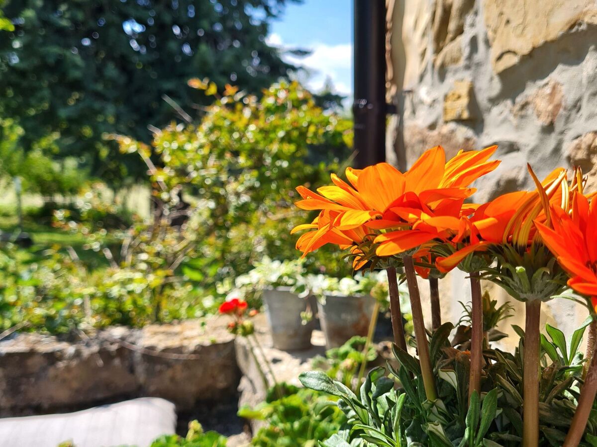 Maison rustique 4 pers. à San Leo, vue mer et forteresse - Photo 21