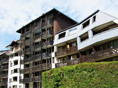 Studio 21 m² Le Grépon à Chamonix, vue montagne