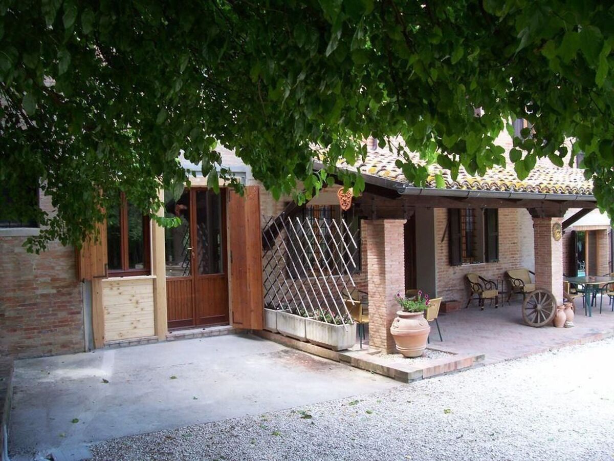 Studio 55 m² avec terrasse privée à Belvedere Ostrense - Photo 5